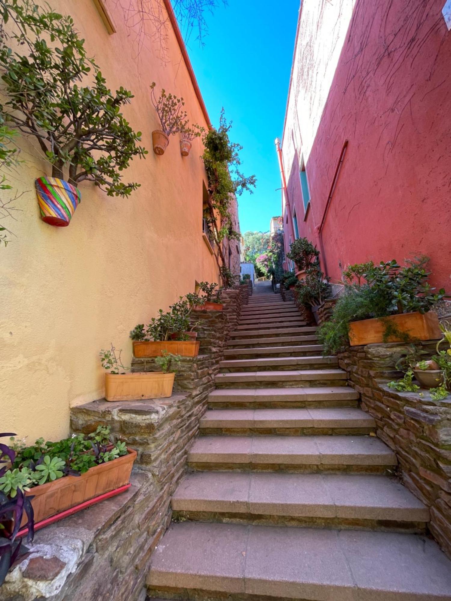 Azur-les Pieds Dans L'eau-vue Sur Et Clocher De En Toile De Fond - Wifi - Parking Collioure