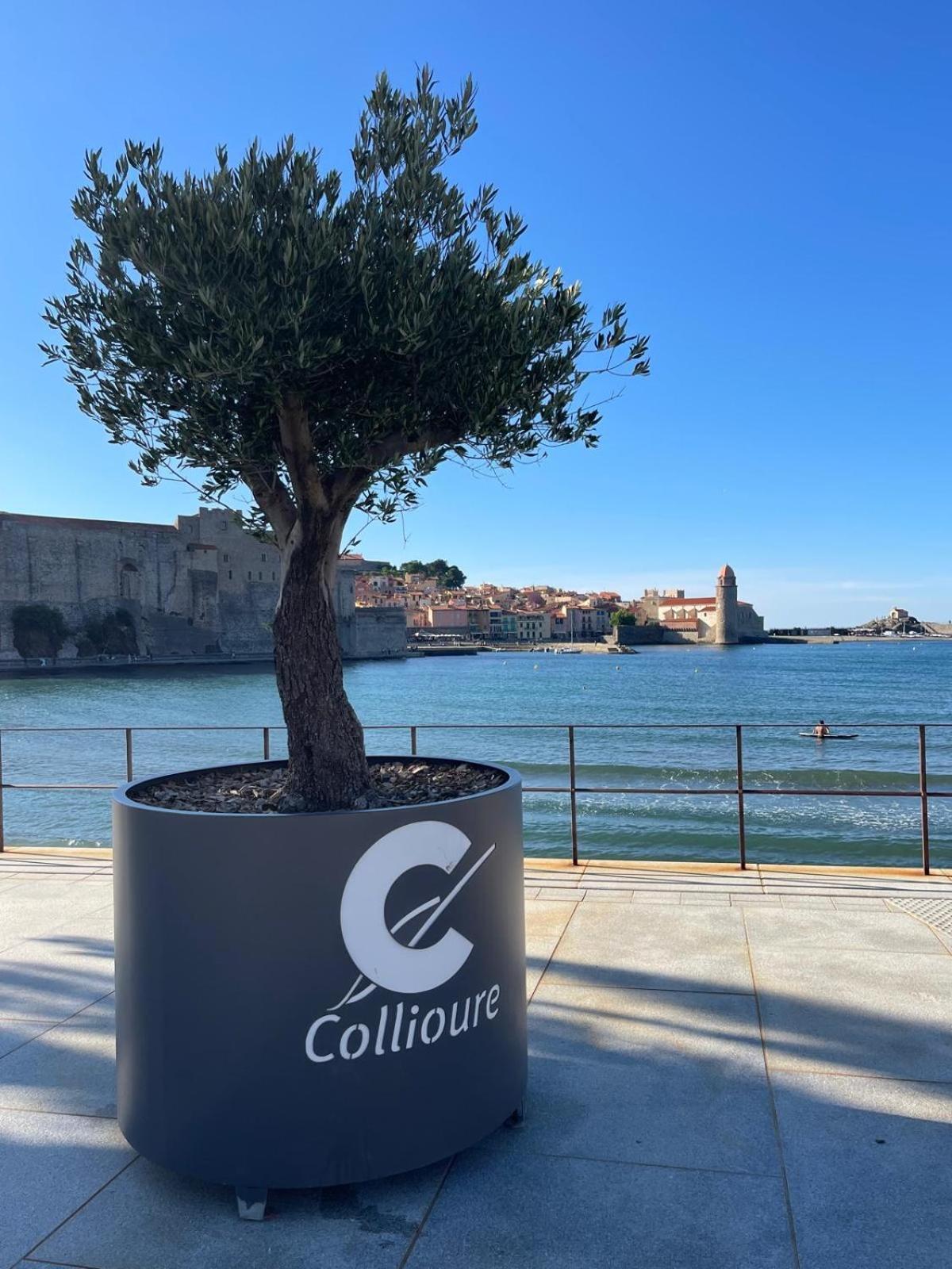 Azur-les Pieds Dans L'eau-vue Sur Et Clocher De En Toile De Fond - Wifi - Parking Appartement